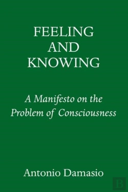 Bertrand.pt - Feeling And Knowing