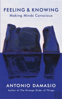 Bertrand.pt - Feeling And Knowing