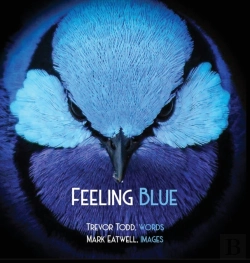 Bertrand.pt - Feeling Blue