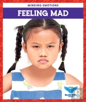 Feeling Mad