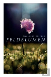 Feldblumen