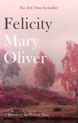 Bertrand.pt - Felicity
