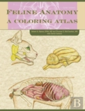 Feline Anatomy