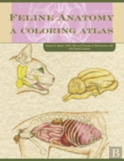 Bertrand.pt - Feline Anatomy