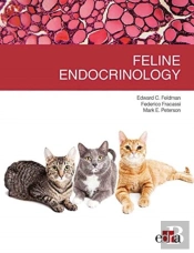 Feline Endocrinology