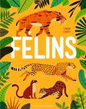 Felins