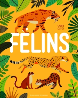 Bertrand.pt - Felins