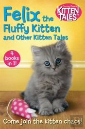 Felix The Fluffy Kitten And Other Kitten Tales