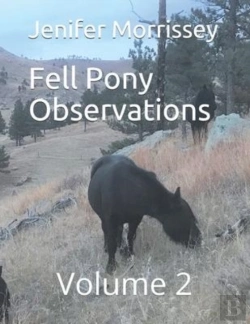 Bertrand.pt - Fell Pony Observations