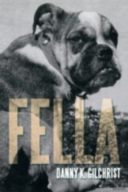 Bertrand.pt - Fella