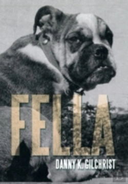 Bertrand.pt - Fella