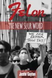Felon: The New Slur Word  Revised Editio