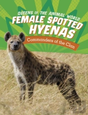 Female Spotted Hyenas
