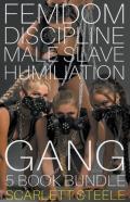 Femdom Discipline Male Slave Humiliation Gang - 5 Book Bundle