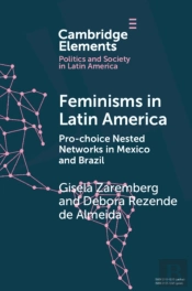 Feminisms In Latin America