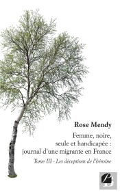 Femme, Noire, Seule Et Handicapée : Journal D'Une Migrante En France Tome 3 ; Les Déceptions De L'Héroïne