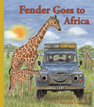 Fender Goes To Africa