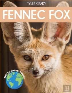 Bertrand.pt - Fennec Fox: Fascinating Animal Facts For