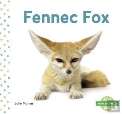 Bertrand.pt - Fennec Fox