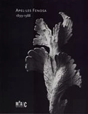 Fenosa