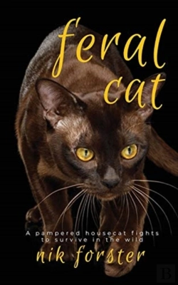 Bertrand.pt - Feral Cat