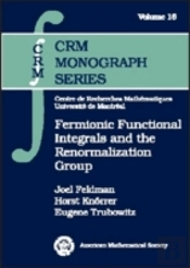 Fermionic Functional Integrals And The Renormalization Group
