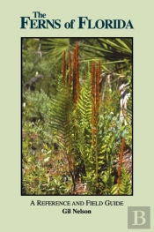 Ferns Of Florida