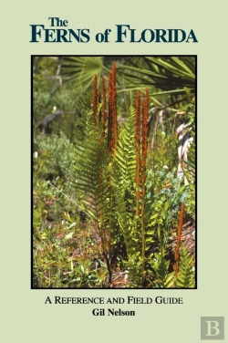 Bertrand.pt - Ferns Of Florida