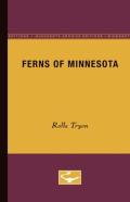 Ferns Of Minnesota