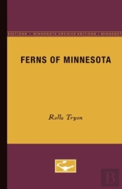 Ferns Of Minnesota