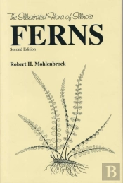 Ferns