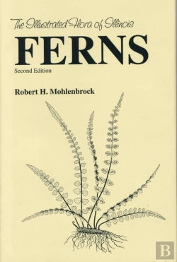 Bertrand.pt - Ferns