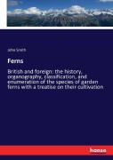 Ferns