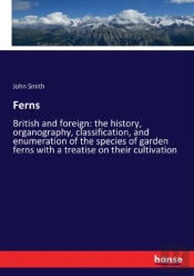 Ferns