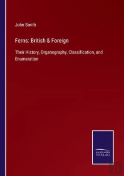 Bertrand.pt - Ferns
