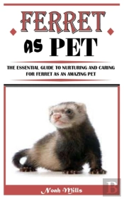 Ferret As Pet