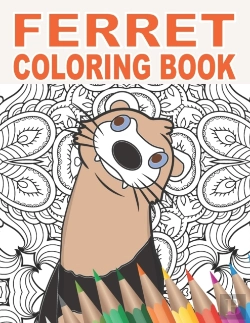 Bertrand.pt - Ferret Coloring Book