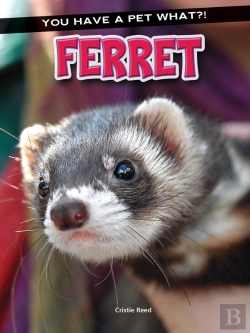 Bertrand.pt - Ferret