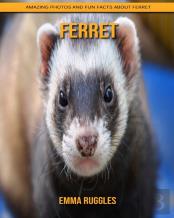 Ferret
