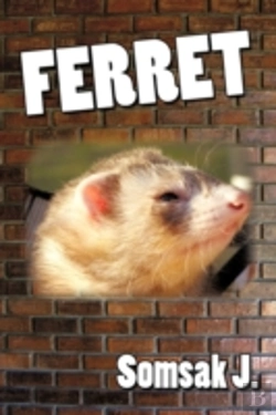 Bertrand.pt - Ferret