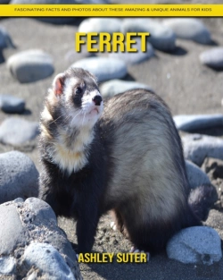 Bertrand.pt - Ferret