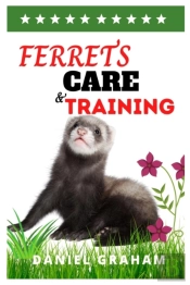 Ferrets Care And Training
