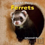 Ferrets