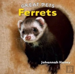 Bertrand.pt - Ferrets