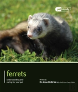 Bertrand.pt - Ferrets - Pet Friendly