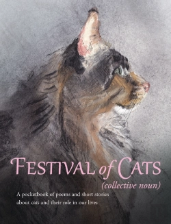 Bertrand.pt - Festival Of Cats