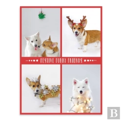 Bertrand.pt - Festive Furry Friends Deluxe Notecard Collection