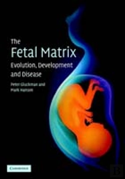 Bertrand.pt - Fetal Matrix: Evolution, Development And Disease