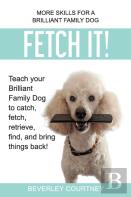 Fetch It!