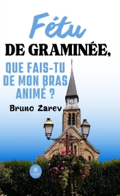 Fetu De Graminee, Que Fais-Tu De Mon Bras Anime ?